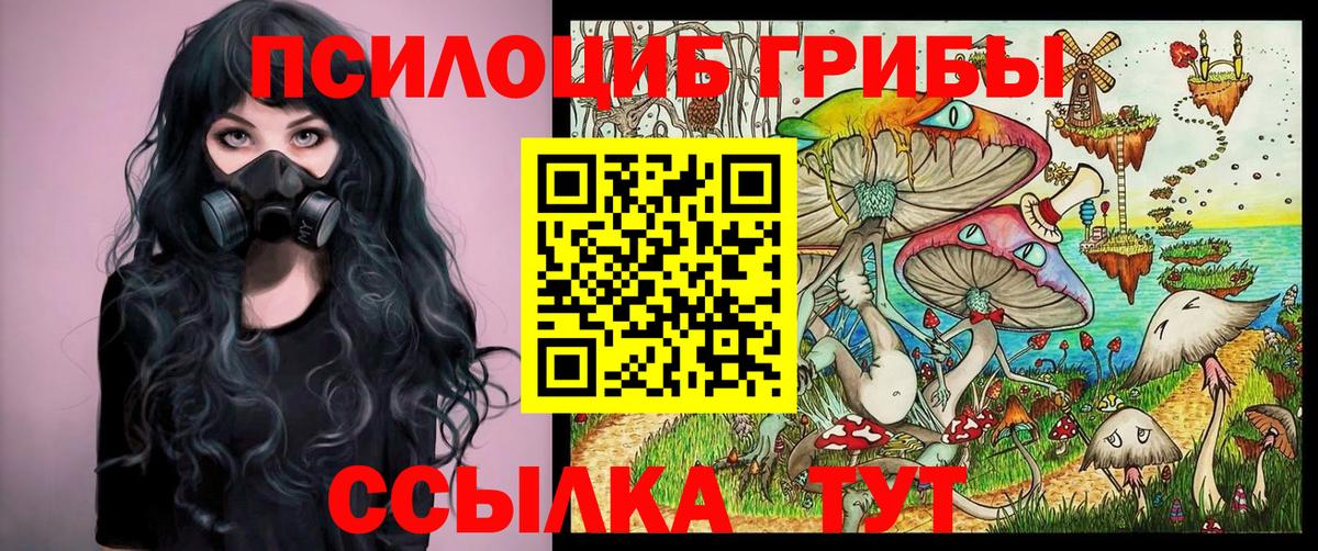 Псилоцибиновые грибы мухоморы Тайшет