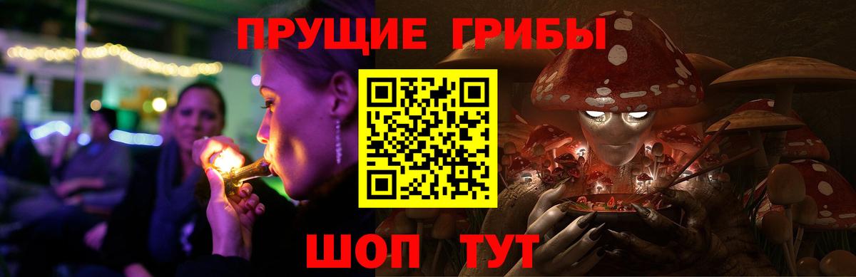 Галлюциногенные грибы Psilocybine cubensis  Вход с VPN  Тайшет 